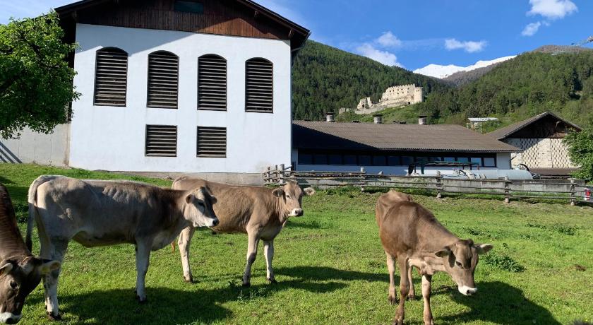 Mooshof - Farm apartment for families, motorcyclists, hikers & cyclists in Stelvio National Park