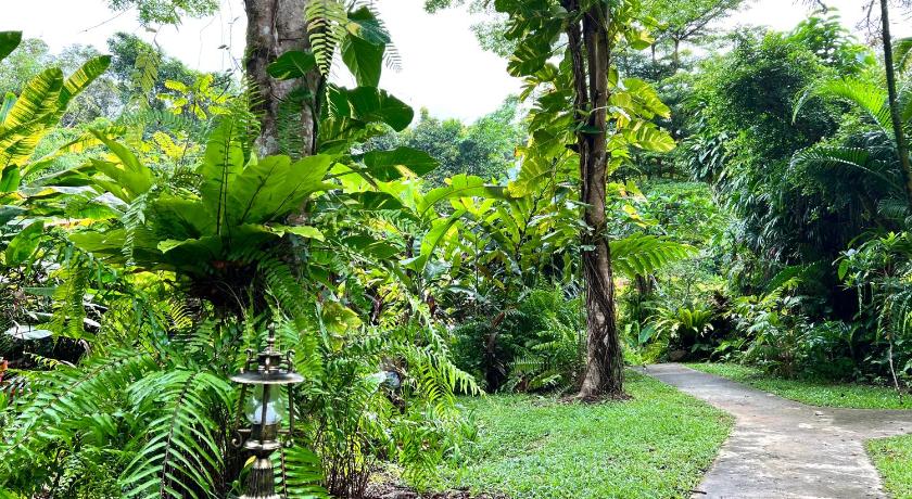 Image of Deluxe Bungalow with Garden View 9