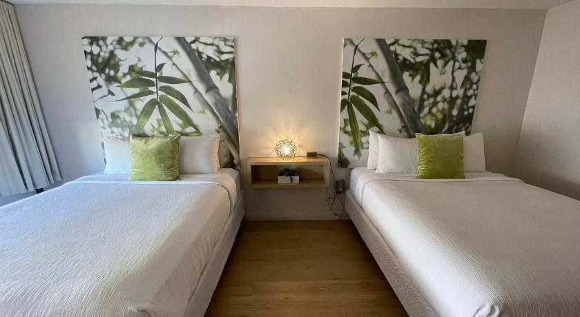 Newly renovated room in cozy hotel near Disney 2