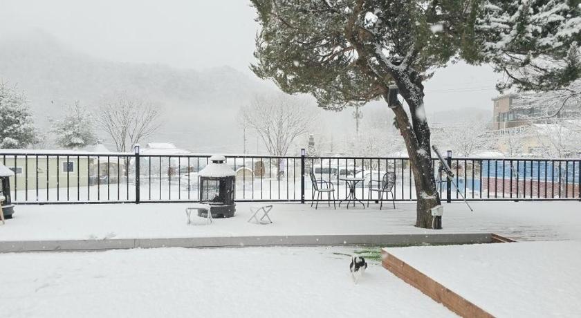 江原道 Chuncheon Dog pension Walk the Flower Path 3星级 民宿 景观