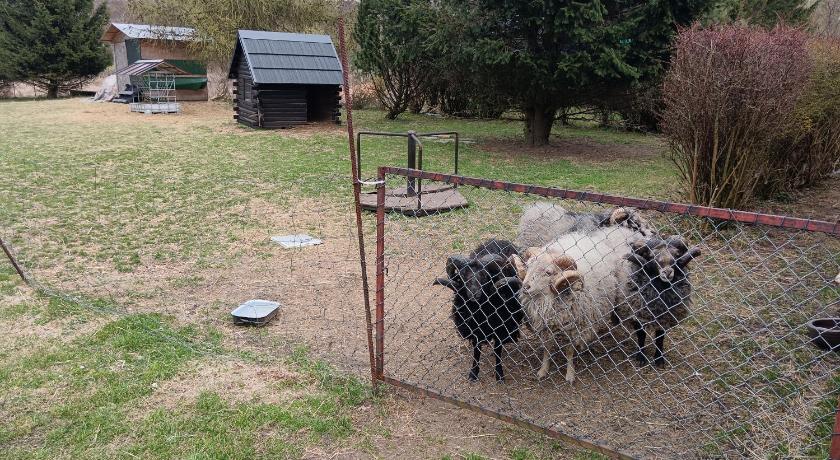 カメニチュキ・セノフ Ubytovani a apartman Prachen u Novaku 4つ星 シングルルーム ロビー