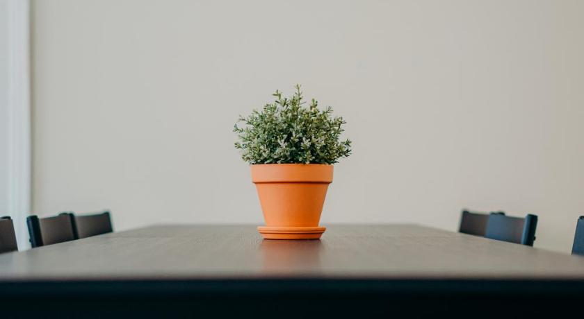 埃斯皮纽 Green Coast Surf House 3星级 酒店 景观