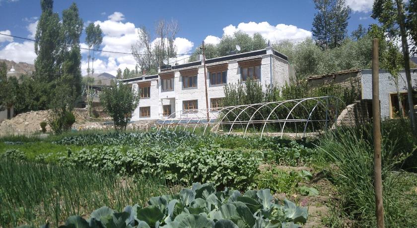Kushu Guest House - image 12