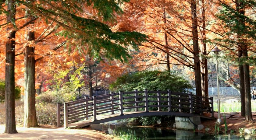 安東 Gotaya Guesthouse ホテル レストラン