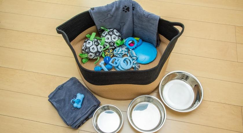 冲绳岛 ちゅらパレス c 2星级 单人房 套房