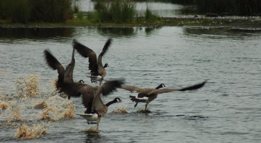 Stichting Veenloopcentrum Weiteveen photo