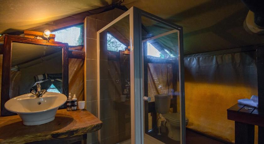 Image of Safari Tent 5