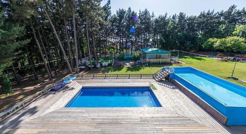 泰安 Taean Red Balloon Pension 3つ星 ゲストハウス レストラン