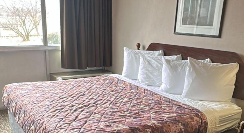 ナポレオン (OH) Napoleon Inn and Suites 宿泊施設 スイート