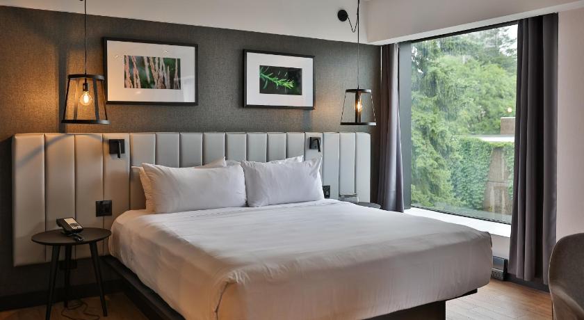 Image of Junior Suite,1 King Bed and 1 Sofabed 1
