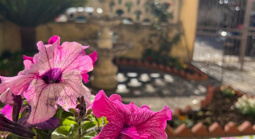 Nonna Ciccina’s House