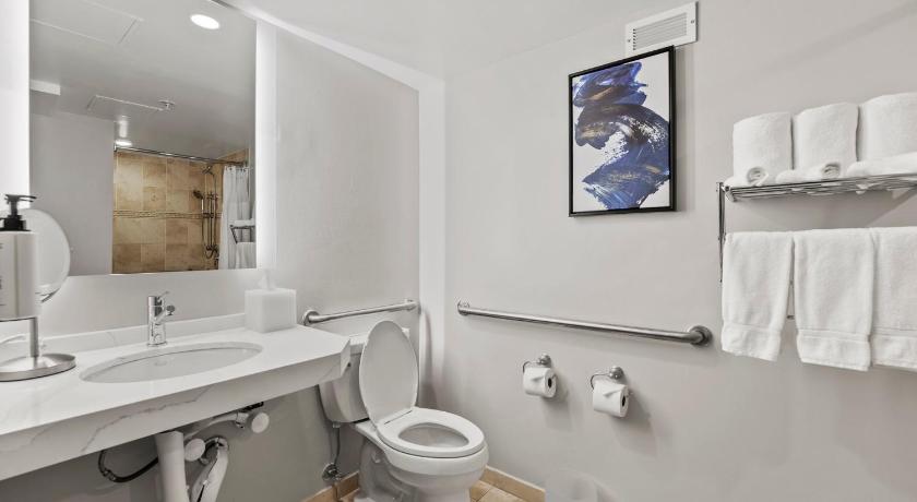 Image of 1 King Standard Mobility Accessible Roll in Shower 7