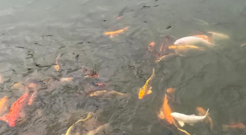 깐짜나부리 / 칸차나부리 อีต่องโฮมสเตย์ 1성급 호텔 레스토랑