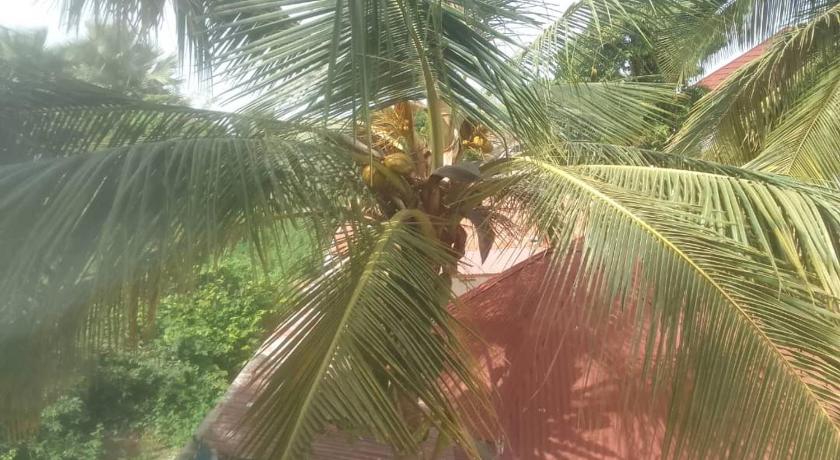 Banjul Jallow and Bah kunda village 3-Star Guesthouse lobby