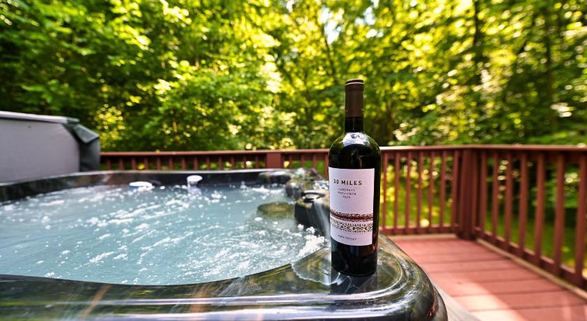 세비어빌 (TN) Smoky Mountains Hut Tub Cabin Dog Friendly 3성급 숙소 수영장
