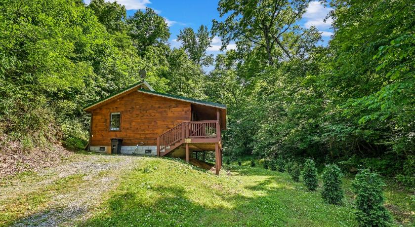 세비어빌 (TN) Smoky Mountains Hut Tub Cabin Dog Friendly 3성급 숙소 객실