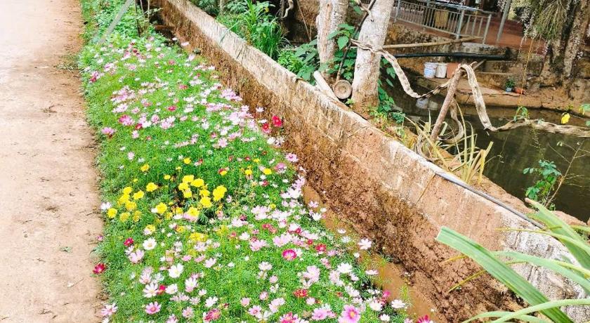 Hải Nam Homestay Hoà Bình - image 24