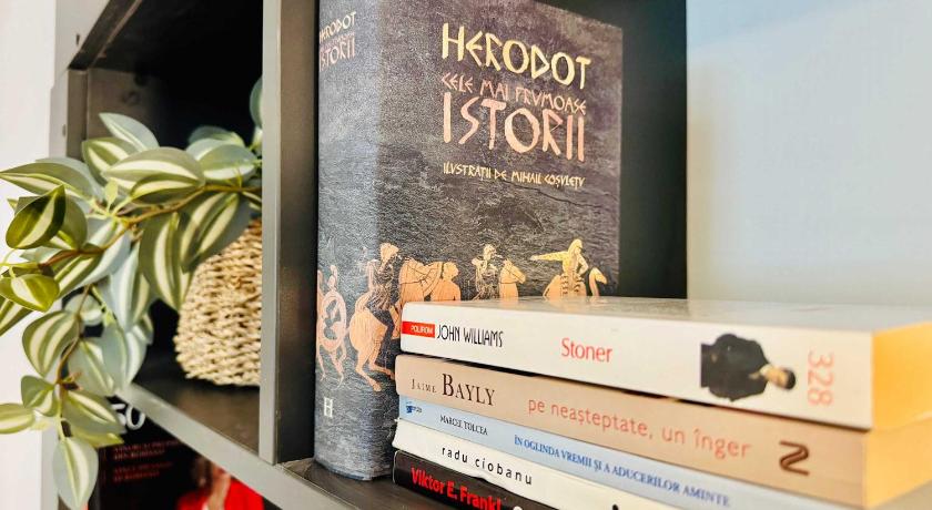 티미쇼아라 Joy City Stay Nemoianu 8D 4성급 싱글룸 부대시설