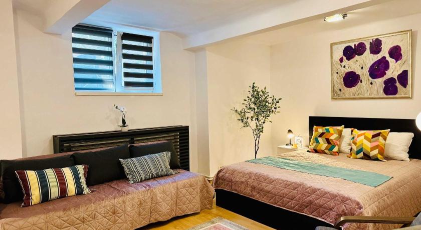 티미쇼아라 Joy City Stay Nemoianu 8D 4성급 싱글룸 수영장