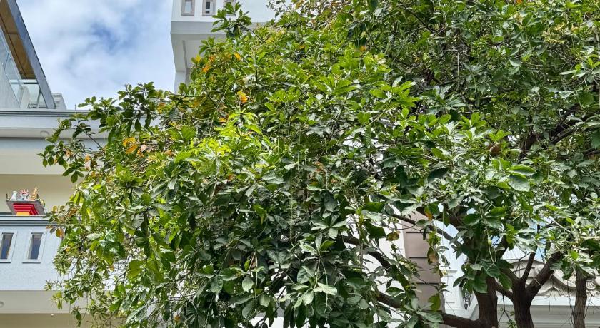 Thinh Khang Hotel Vung Tau - image 7