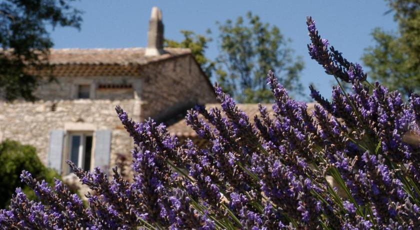 La Vivande