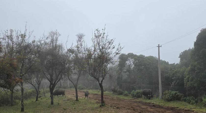 The rustic retreat - image 16