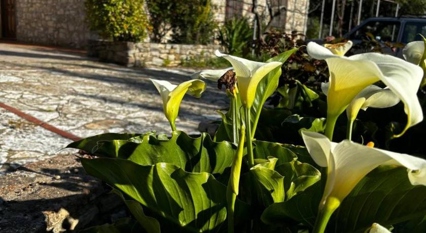 Agriturismo Santa Venera