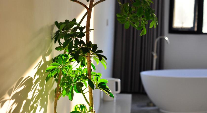 Xingle Hotel(Suzhou Guanqian Street Pingjiang Road) - image 7