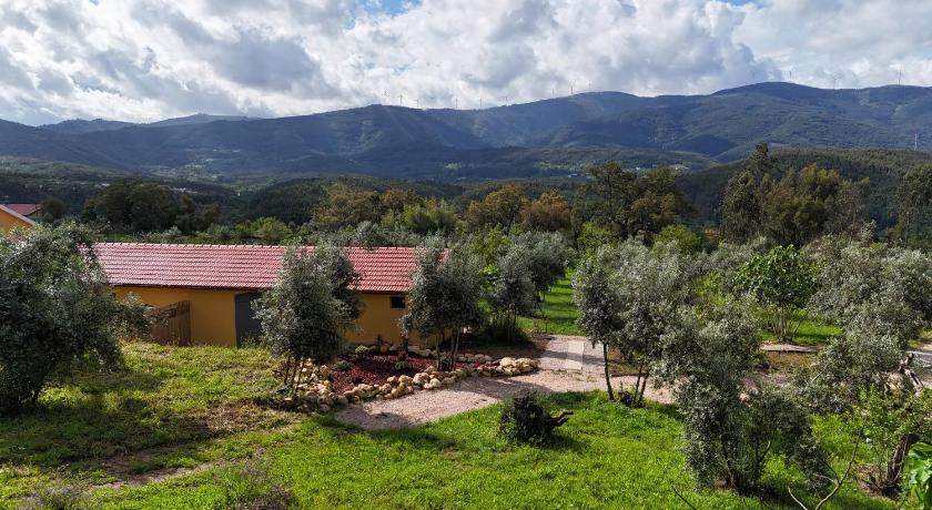 Quinta-lina de serpins