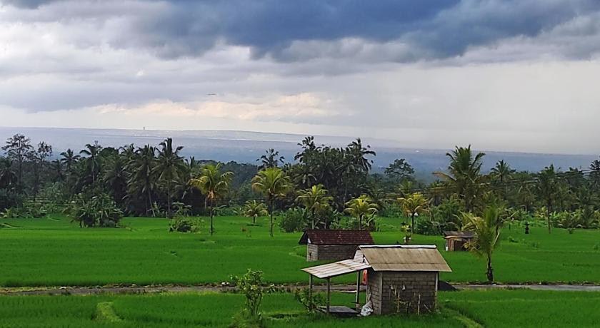 Tampilan Moriyya vila