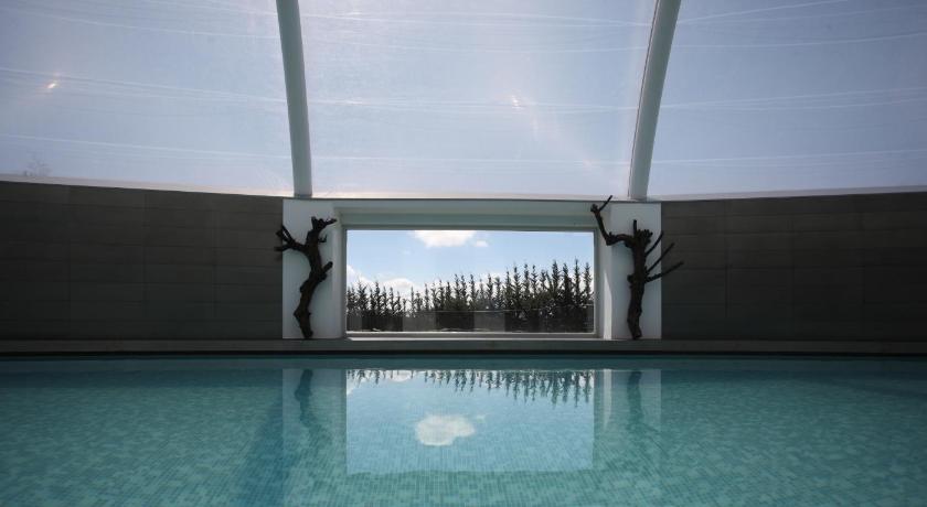 拉瓜尔迪亚 Hotel Silken Villa de Laguardia 4星级 酒店 泳池