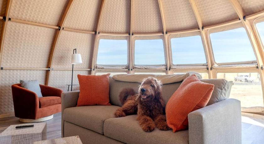 弗雷德里克斯堡 Cozy Pet Friendly Pod with Stunning Sights in Fredericksburg, Texas 2星级 住宿 客房
