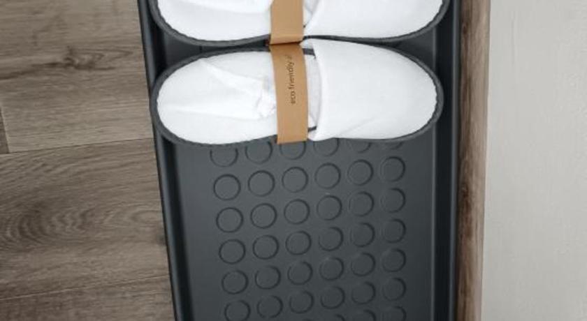 カメニチュキ・セノフ Ubytovani a apartman Prachen u Novaku 4つ星 シングルルーム 施設