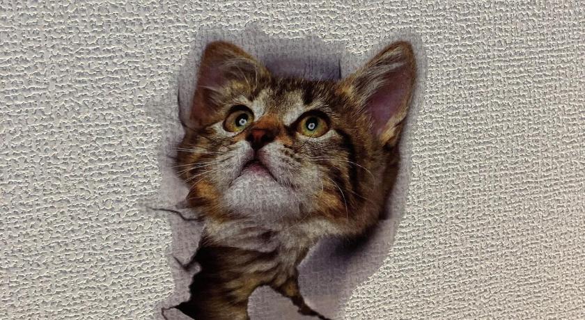 大阪 AsashiobashiBase 3星级 单人房 客房