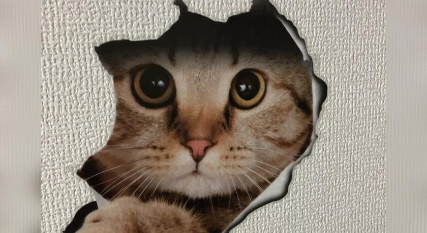 大阪 AsashiobashiBase 3星级 单人房 套房