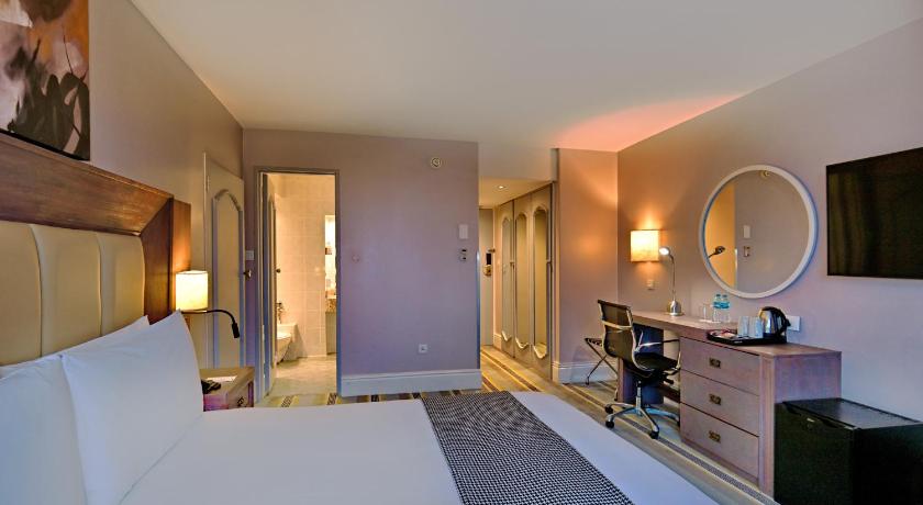 Image of 1 King Suite Mountain View 9