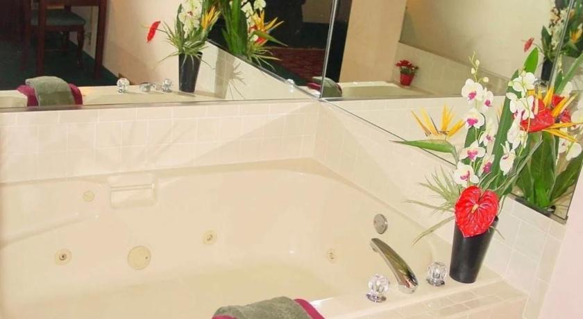 먼로 (GA) Haven Inn & Suites 숙소 수영장