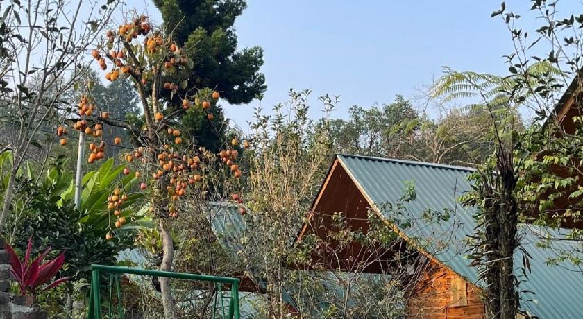 Image of Deluxe Bungalow 6