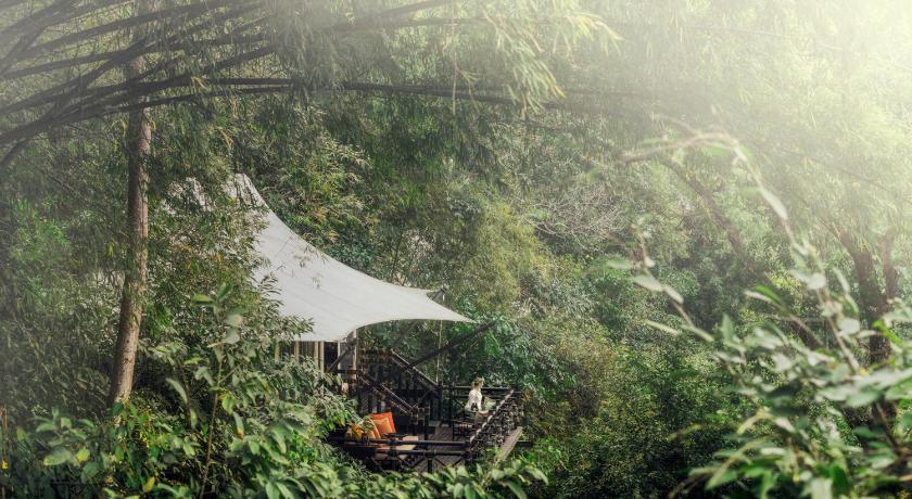 Image of Bamboo Tent Two Twin 7