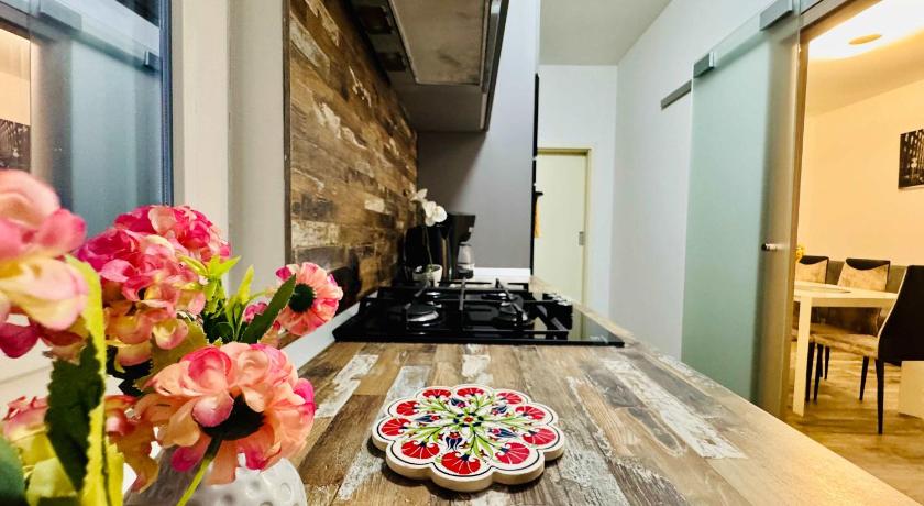 蒂米什瓦拉 Joy City Stay Nemoianu 13A-8 4星级 单人房 景观