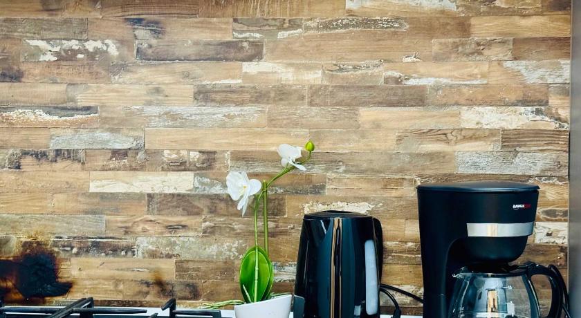 蒂米什瓦拉 Joy City Stay Nemoianu 13A-8 4星级 单人房 客房