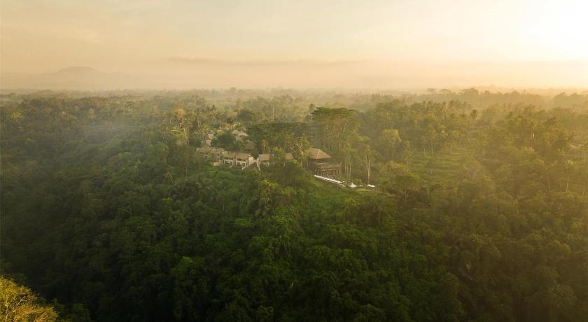 Image of 1 KING HILLSIDE SUPERIOR 6
