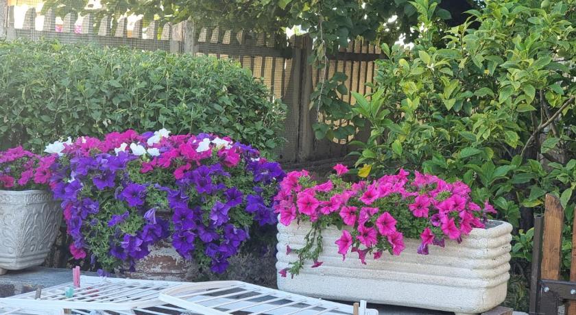 ローマ Paola's House 4つ星 シングルルーム 客室