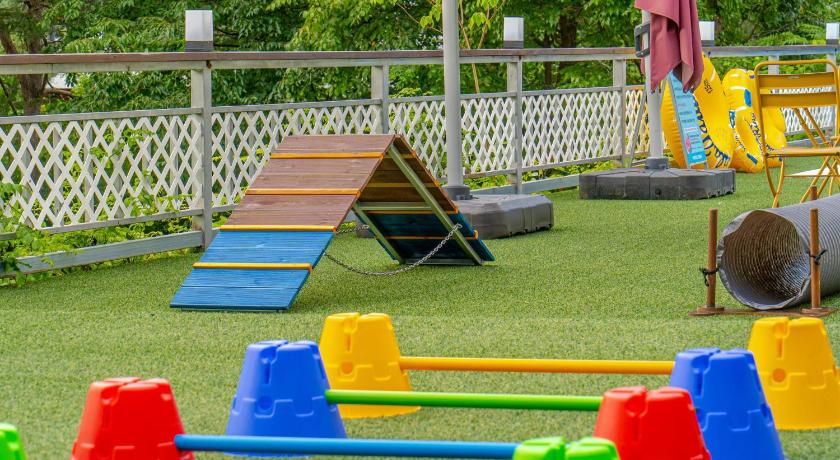 Chuncheon Chuncheon Happy's Day Dog Pension 4-Star Guesthouse amenity