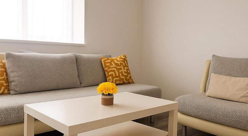 ティミショアラ Casiana Apartments 3つ星 シングルルーム 眺望