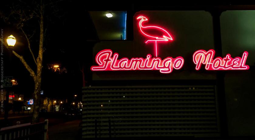 The Flamingo Motel San Jose