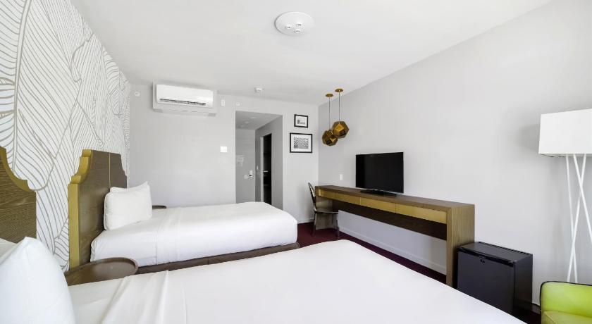마이애미 비치 (FL) Alamo Hotel 3성급 숙소 수영장