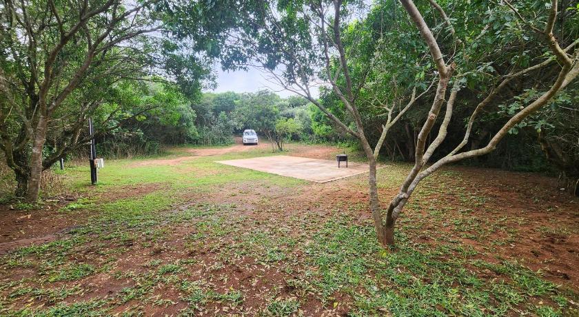 Mkumbi Nyala Campsite
