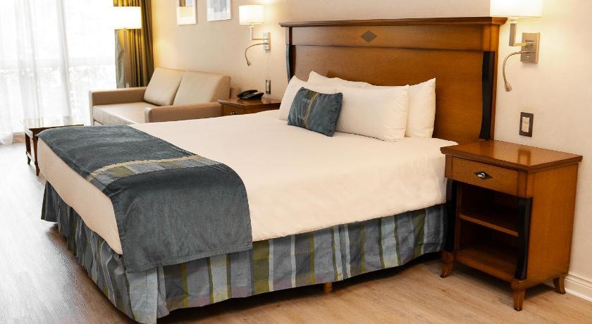 Image of King Room with Spa Bath 5