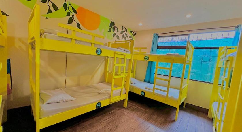 Image of Single Bed in 10-Bed Dormitory Room 0
